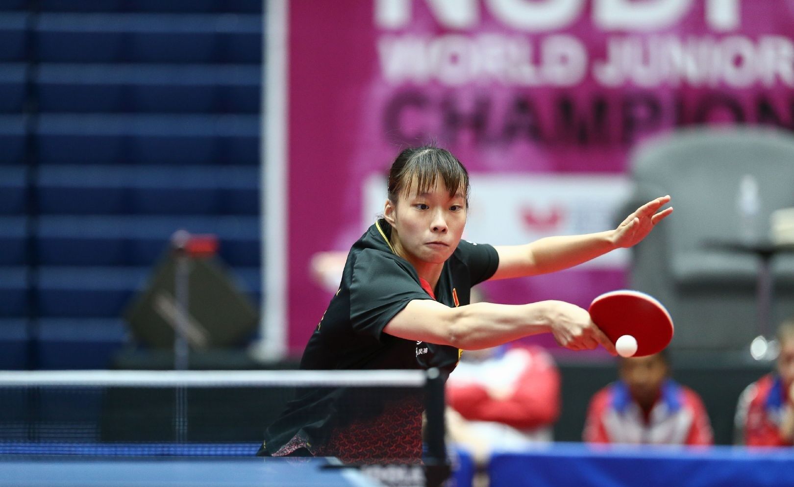 鹕英文原声 鹕英文原声